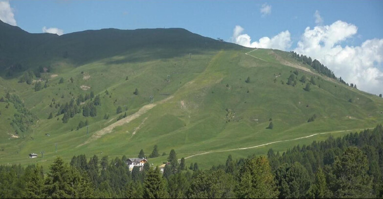 Webcam Bellamonte-Alpe Lusia  - Pista direttissima Le Cune