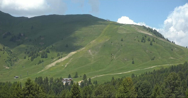 Webcam Bellamonte-Alpe Lusia  - Pista direttissima Le Cune
