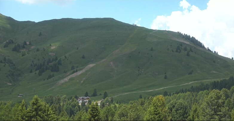 Webcam Bellamonte-Alpe Lusia  - Pista direttissima Le Cune