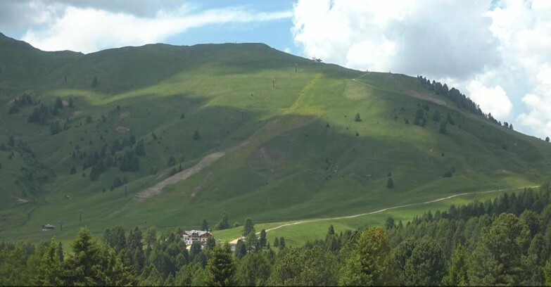 Webcam Bellamonte-Alpe Lusia  - Pista direttissima Le Cune