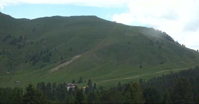 Webcam Bellamonte-Alpe Lusia  - Pista direttissima Le Cune
