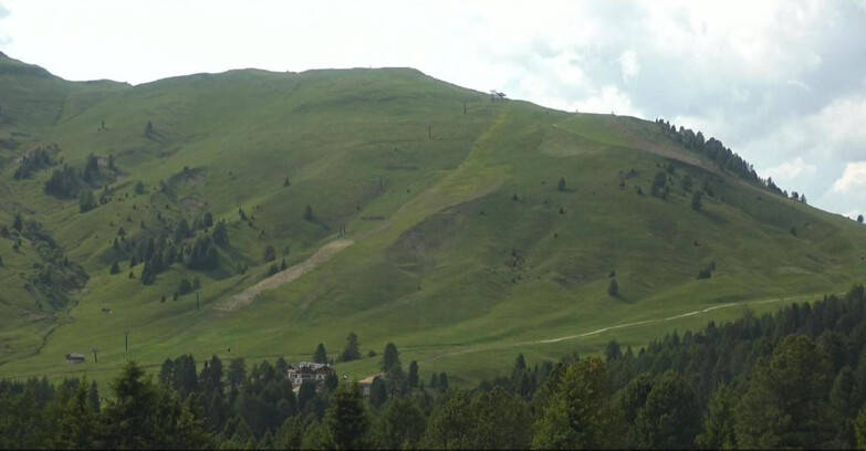 Webcam Bellamonte-Alpe Lusia  - Pista direttissima Le Cune