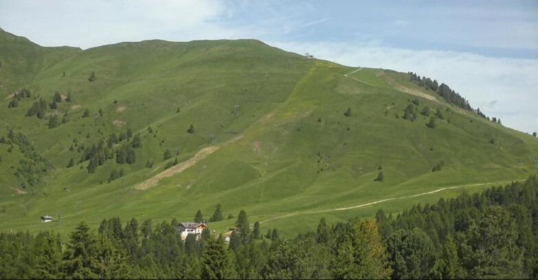 Webcam Bellamonte-Alpe Lusia  - Pista direttissima Le Cune