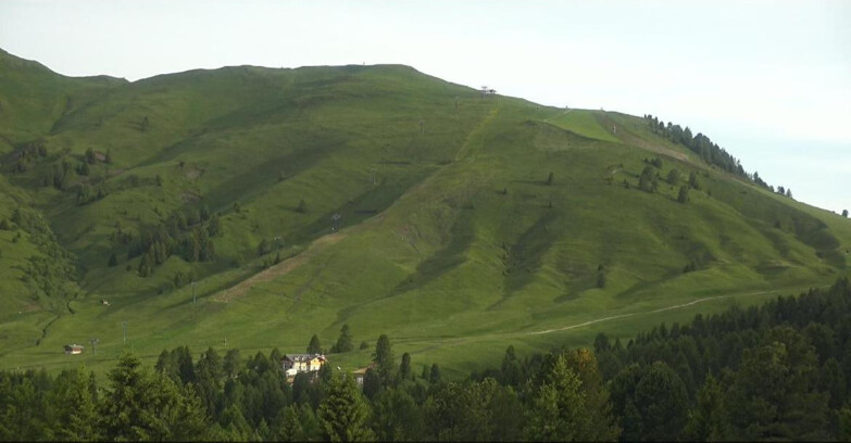 Webcam Белламонте-Альпе-Лусиа  - Pista direttissima Le Cune