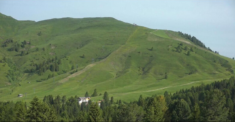 Webcam Белламонте-Альпе-Лусиа  - Pista direttissima Le Cune