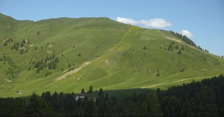 Webcam Bellamonte-Alpe Lusia - Pista direttissima Le Cune