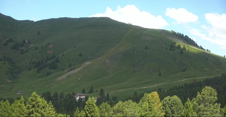 Webcam Bellamonte-Alpe Lusia - Pista direttissima Le Cune