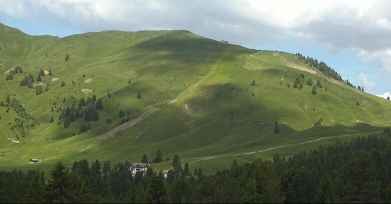 Webcam Bellamonte-Alpe Lusia - Pista direttissima Le Cune
