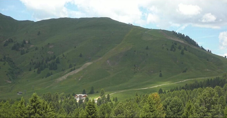 Webcam Bellamonte-Alpe Lusia - Pista direttissima Le Cune