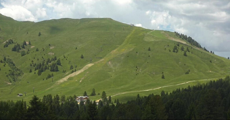 Webcam Bellamonte-Alpe Lusia - Pista direttissima Le Cune