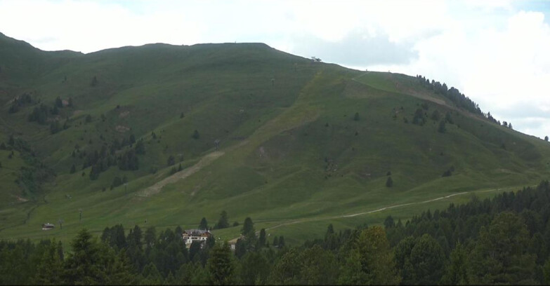 Webcam Bellamonte-Alpe Lusia - Pista direttissima Le Cune