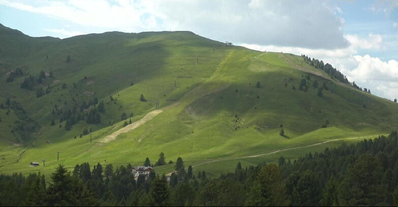 Webcam Bellamonte-Alpe Lusia - Pista direttissima Le Cune