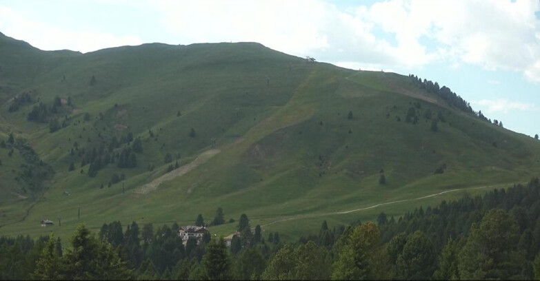 Webcam Bellamonte-Alpe Lusia - Pista direttissima Le Cune