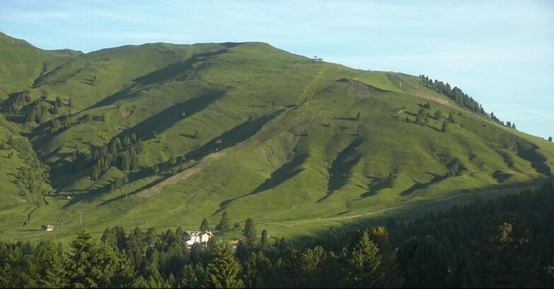 Webcam Bellamonte-Alpe Lusia - Pista direttissima Le Cune