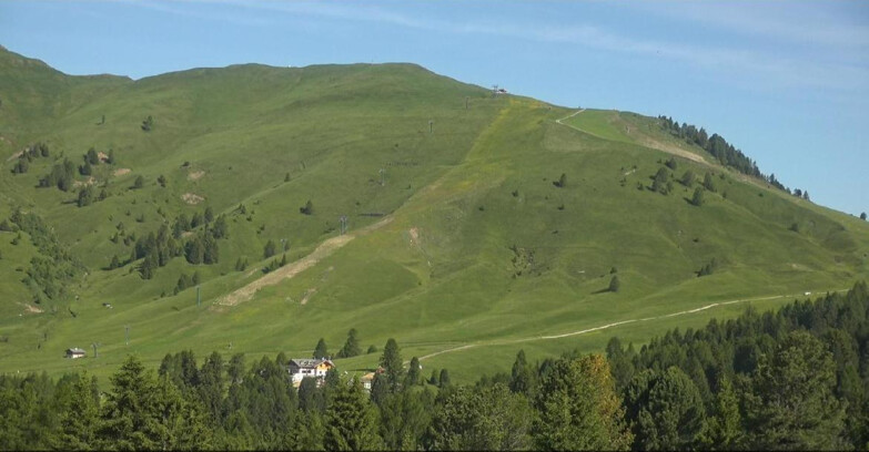 Webcam Bellamonte-Alpe Lusia - Pista direttissima Le Cune