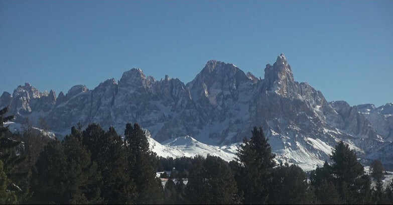 Webcam Bellamonte-Alpe Lusia - Pale di San Martino