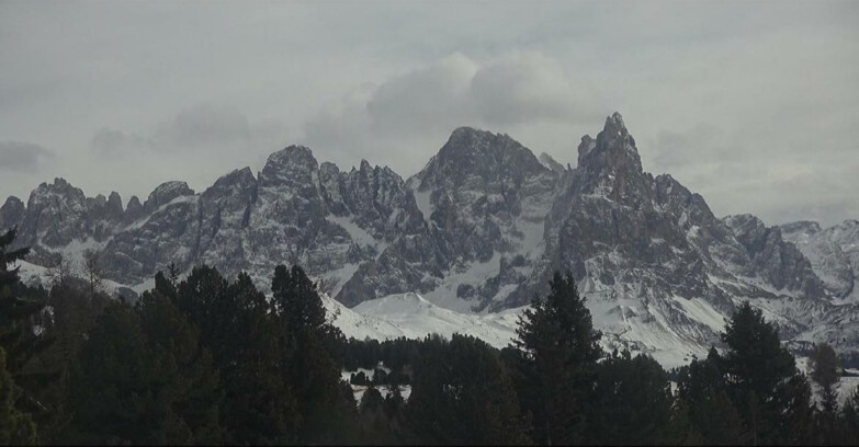 Webcam Bellamonte-Alpe Lusia  - Pale di San Martino