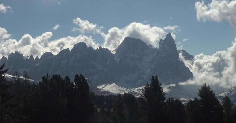 Webcam Bellamonte-Alpe Lusia  - Palagruppe