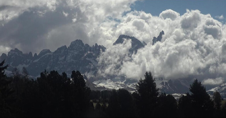 Webcam Bellamonte-Alpe Lusia  - Palagruppe