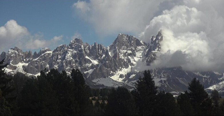 Webcam Bellamonte-Alpe Lusia - Pale di San Martino