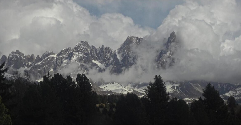 Webcam Bellamonte-Alpe Lusia - Pale di San Martino