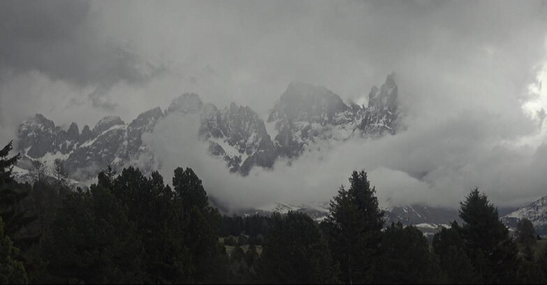 Webcam Bellamonte-Alpe Lusia - Pale di San Martino
