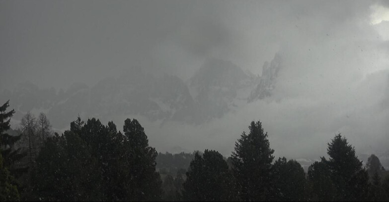 Webcam Bellamonte-Alpe Lusia - Pale di San Martino