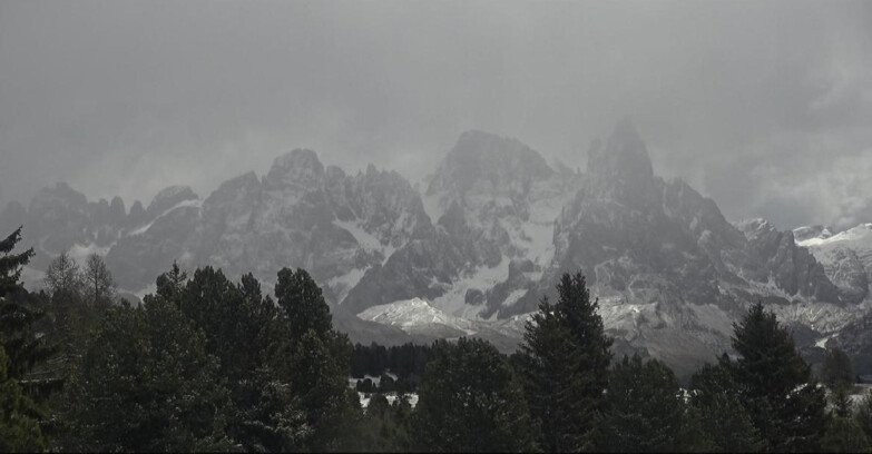 Webcam Bellamonte-Alpe Lusia  - Palagruppe