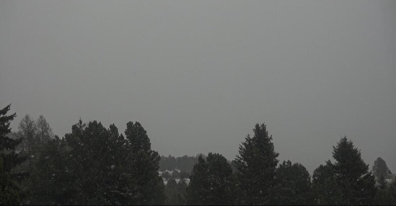 Webcam Bellamonte-Alpe Lusia  - Palagruppe