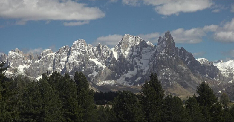 Webcam Bellamonte-Alpe Lusia  - Palagruppe