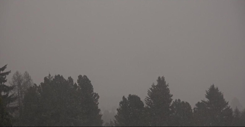 Webcam Bellamonte-Alpe Lusia - Pale di San Martino