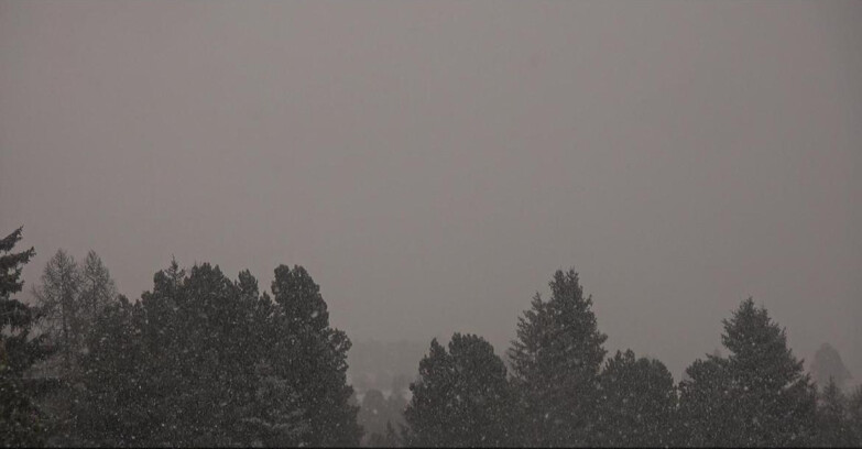 Webcam Bellamonte-Alpe Lusia - Pale di San Martino