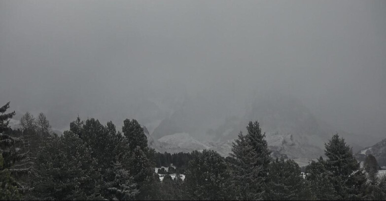 Webcam Bellamonte-Alpe Lusia - Pale di San Martino