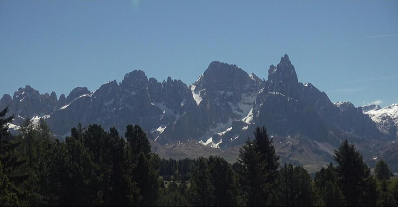 Webcam Bellamonte-Alpe Lusia  - Pale di San Martino