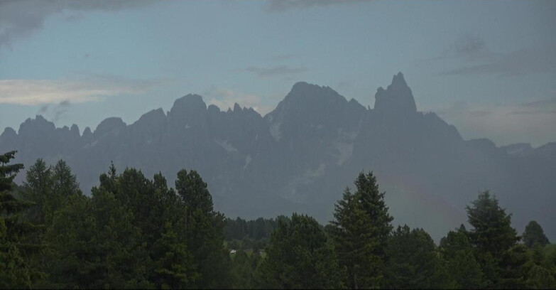 Webcam Bellamonte-Alpe Lusia  - Palagruppe