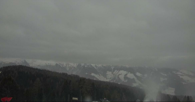 Webcam Bellamonte-Alpe Lusia  - Lagorai