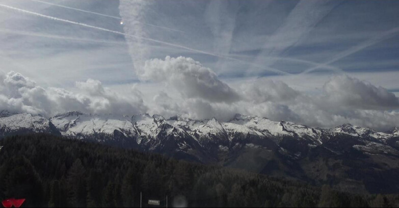 Webcam Bellamonte-Alpe Lusia  - Lagorai