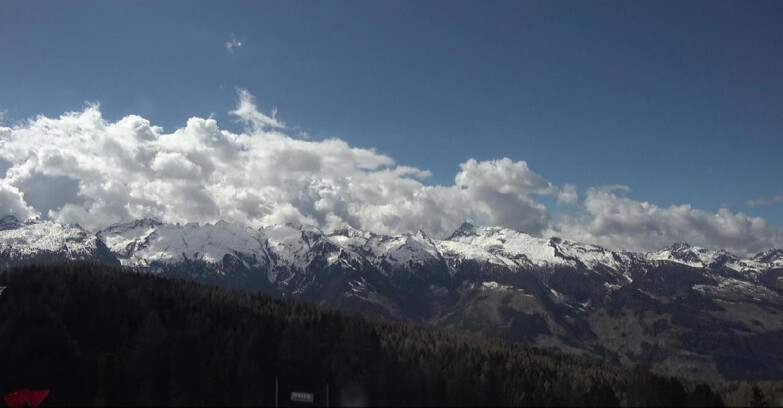Webcam Bellamonte-Alpe Lusia  - Lagorai