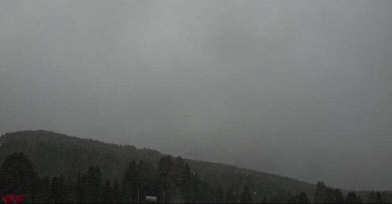 Webcam Bellamonte-Alpe Lusia  - Lagorai