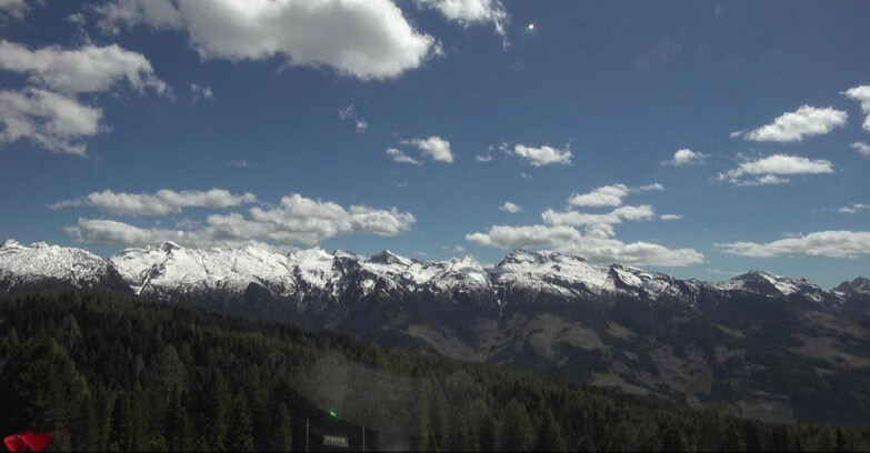 Webcam Bellamonte-Alpe Lusia  - Lagorai
