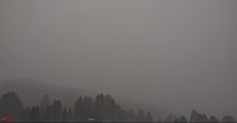 Webcam Bellamonte-Alpe Lusia  - Lagorai