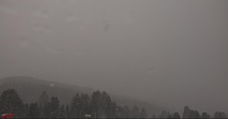 Webcam Bellamonte-Alpe Lusia  - Lagorai