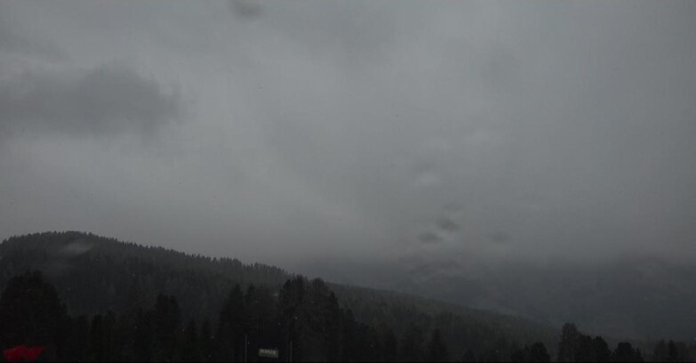 Webcam Bellamonte-Alpe Lusia - Lagorai