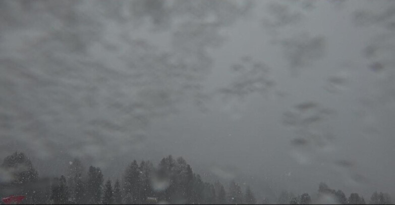 Webcam Bellamonte-Alpe Lusia - Lagorai