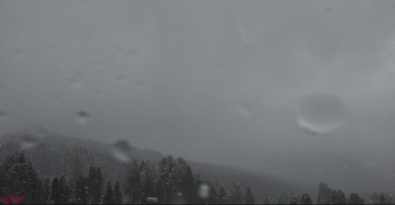 Webcam Bellamonte-Alpe Lusia  - Lagorai