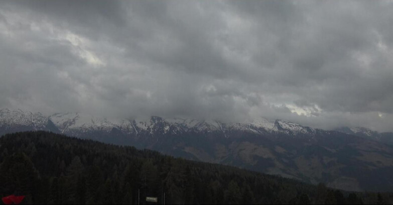 Webcam Bellamonte-Alpe Lusia - Lagorai