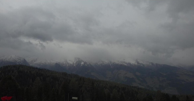 Webcam Bellamonte-Alpe Lusia - Lagorai