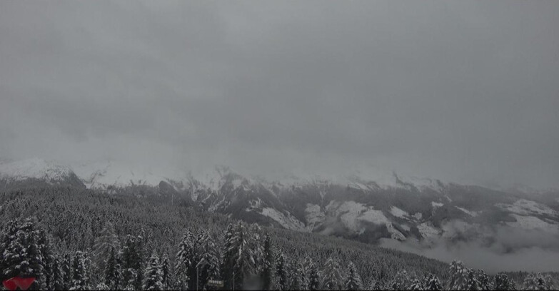 Webcam Bellamonte-Alpe Lusia - Catena del Lagorai
