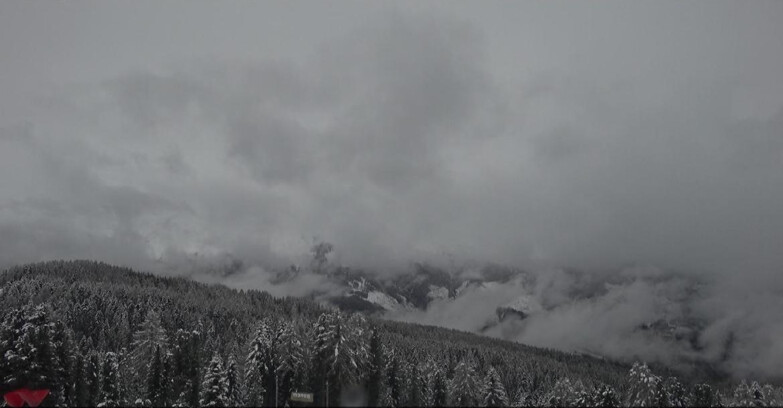 Webcam Bellamonte-Alpe Lusia - Catena del Lagorai