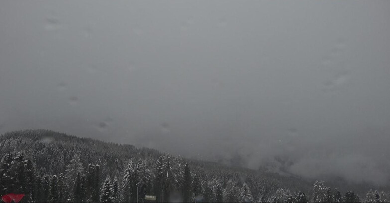 Webcam Bellamonte-Alpe Lusia - Catena del Lagorai